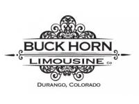 Buckhorn Limousine